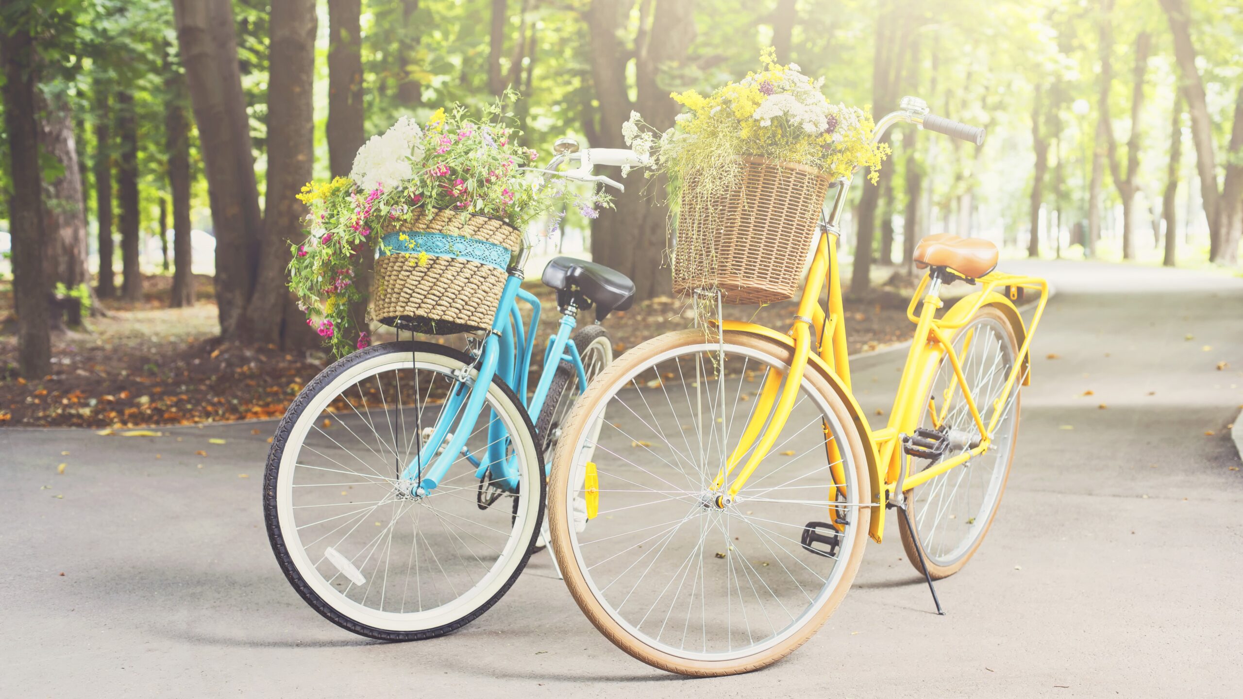 yellow-and-turqoise-city-woman-bicycles-with-flowe-2022-12-16-08-26-16-utc